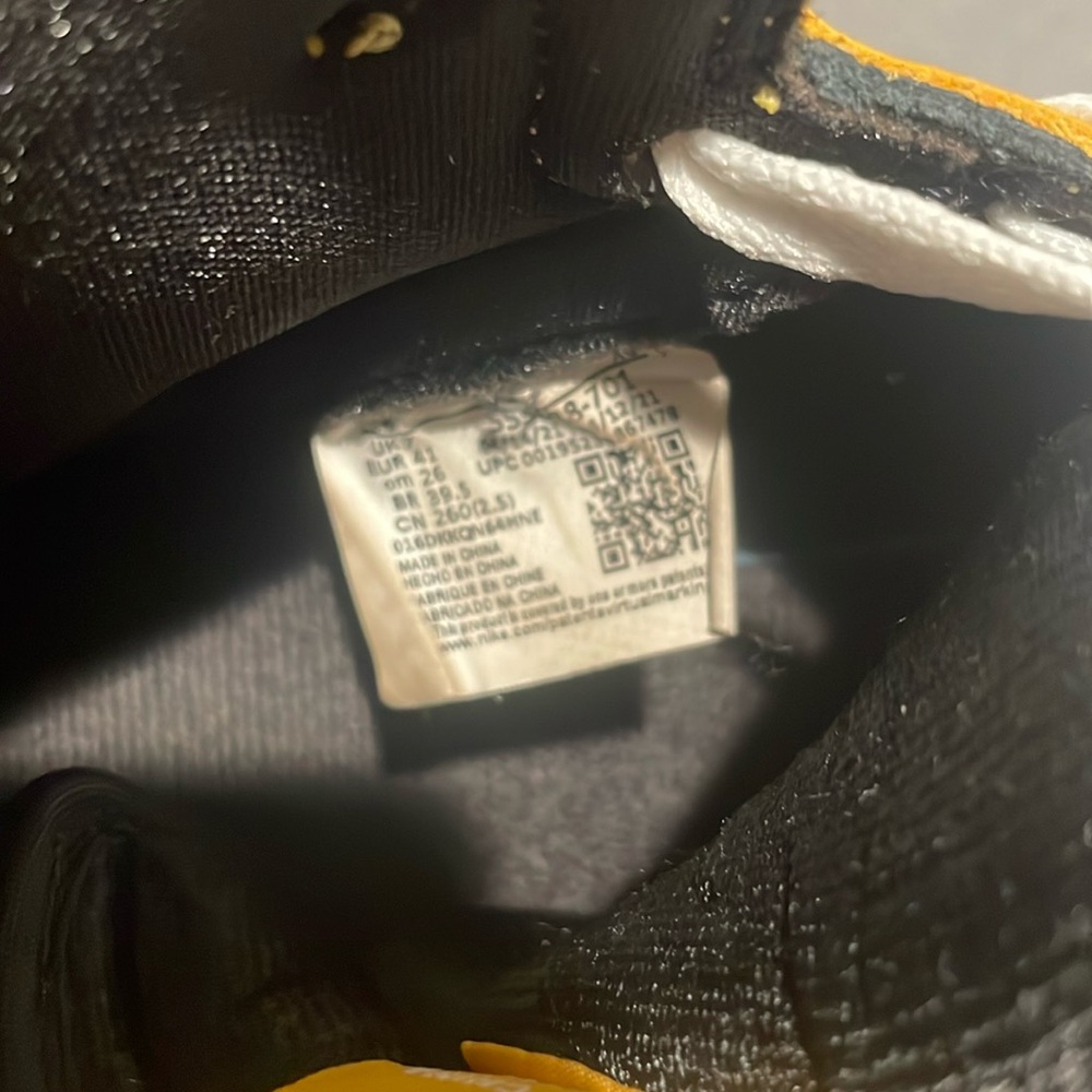 Jordan 1 pollen
